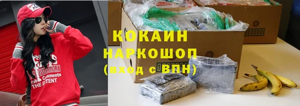 apvp Алексин