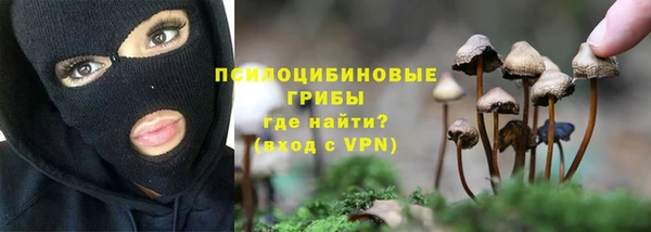 apvp Алексин