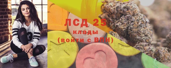 прущие грибы Алзамай