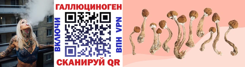 Галлюциногенные грибы MAGIC MUSHROOMS  Сим 